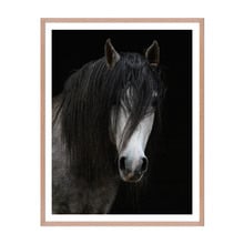 Horse Framed Wall Art