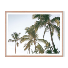 Palm Holiday Framed Printed Wall Art