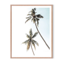 2 Palms Framed Printed Wall Art