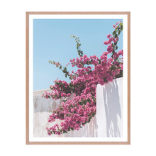 Fence Flowers Framed Printed Wall Art