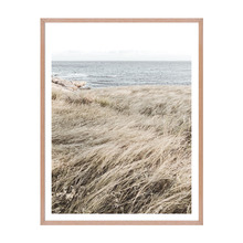 Ocean Grass Framed Printed Wall Art