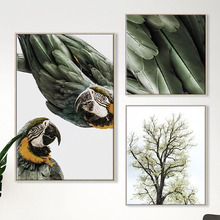 3 Piece Foliage & Feathers Canvas Wall Art Set