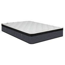 Molly Pocket Spring Mattress