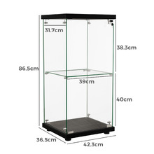 Zorn 2 Shelf Glass Display Cabinet