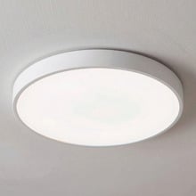 Kenyir 30cm Acrylic LED Oyster Light