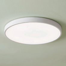 Kenyir 40cm Acrylic LED Oyster Light
