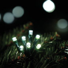 100 Solar Powered Party Lights