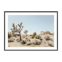 Mojave Desert Framed Print