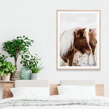 Wild Horses No. 2 Framed Print