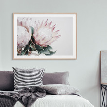 Protea Bouquet Framed Print