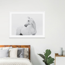 Horse Lover Framed Print
