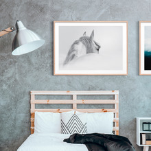 Horse Framed Print