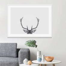 Deer Antlers Framed Print