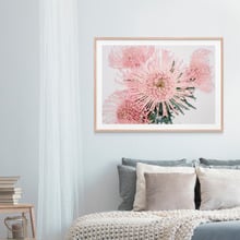 Pincushion Framed Print