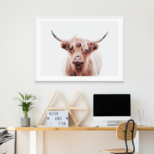 Duncan Highland Cow Framed Print