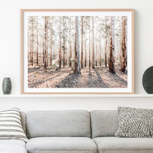 Eucalyptus Landscape Framed Paper Print Wall Art