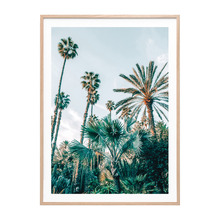 Lush Palms Framed Paper Print Wall Art