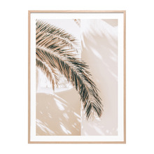Shaded Palm Framed Paper Print Wall Art
