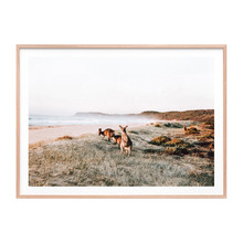 Beach Kangaroo Framed Paper Print Wall Art