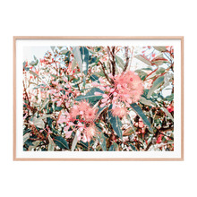 Australian Florals Framed Paper Print Wall Art