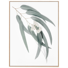 Light Eucalyptus Leaves Framed Canvas Wall Art