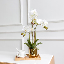 50cm Potted Faux Odessa Orchid