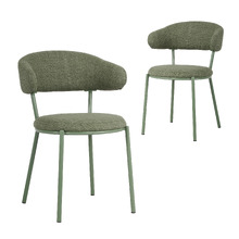 Hector Dining Chairs (Set of 2)