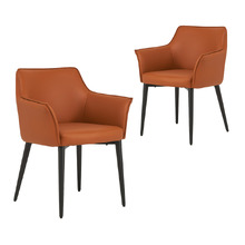 Miles Faux Leather Dining Chairs (Set of 2)