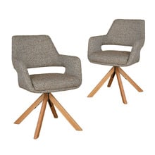 Kassi Chenille Swivel Dining Chairs (Set of 2)