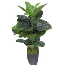 70cm Potted Faux Fiddle Fig Tree