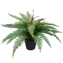 55cm Potted Faux Fishtail Fern