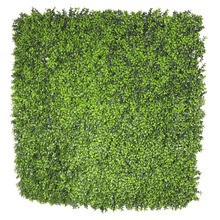 100cm Square Faux Buxus Wall Panel