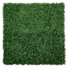 100cm Square Faux Boxwood Screen Wall Panel
