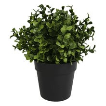 20cm Potted Faux Buxus Plants (Set of 2)