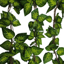 260cm Faux Pothos & Ivy Hanging Vines (Set of 5)