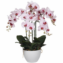 66cm Pink Potted Multi Stem Faux Butterfly Orchid