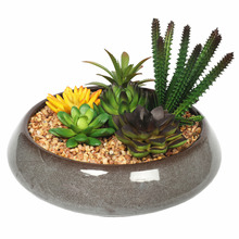 19cm Potted Faux Mixed Succulents