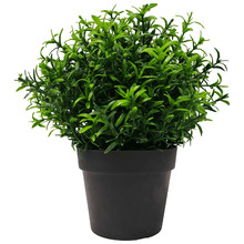 20cm Potted Faux Small Bright Rosemary Herb Plant