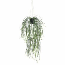 66cm Potted Faux Willow Leaf Plant