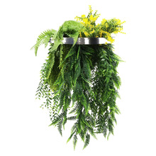 60cm Bellamy Hanging Faux Fern