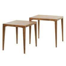 2 Piece Zayden Nesting Side Table Set