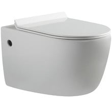 Alexander-R Ceramic Wall Hung Pan