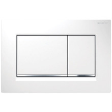 Sigma30 Dual Flush Button