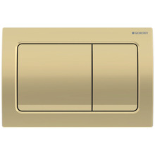 Alpha01 Dual Flush Plate