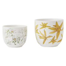 2 Piece Yellow & White Royal Botanic Gardens Planter Set