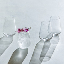 Eterna 510ml Stemless Glasses (Set of 4)