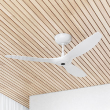132 Haiku I Universal Mount DC Ceiling Fan