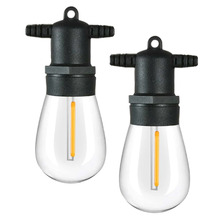 Warm White Shelby Replacement Festoon Light Bulbs (Set of 2)