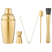5 Piece Aurora Cocktail Set