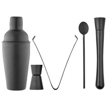 5 Piece Aurora Cocktail Set